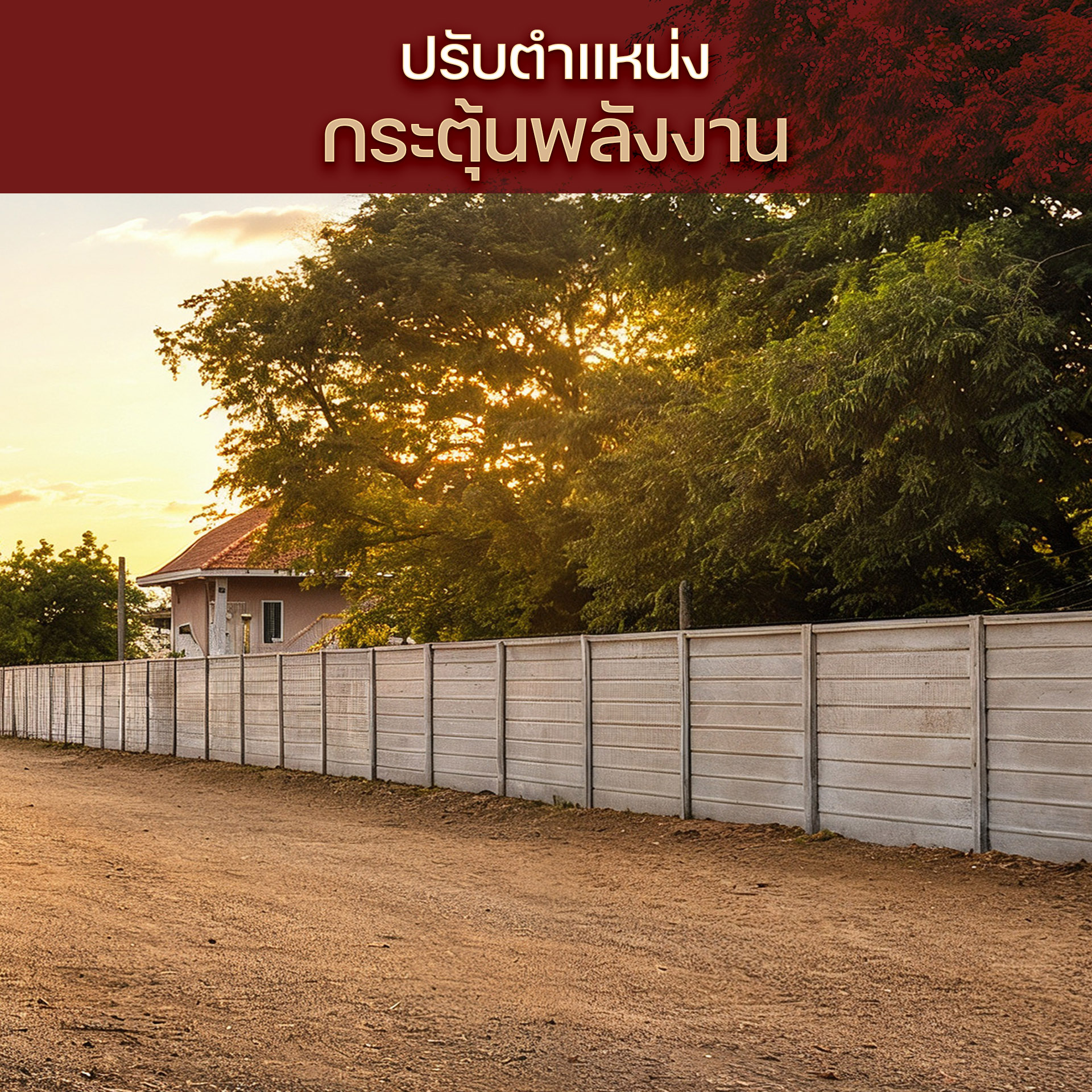 โชว์รูม#3
